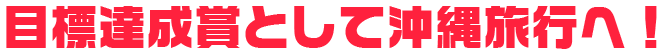目標達成賞として沖縄旅行へ！